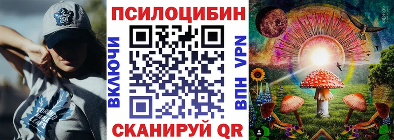 хочу   мориарти какой сайт  Галлюциногенные грибы мицелий  Россошь 